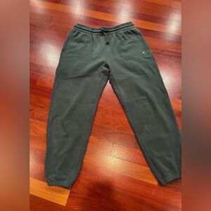 ZYIA Women’s Relaxation Joggers (Short) in Pine Sz Medium